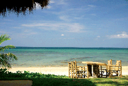 Accommodations : Sea Sand Sun Resort